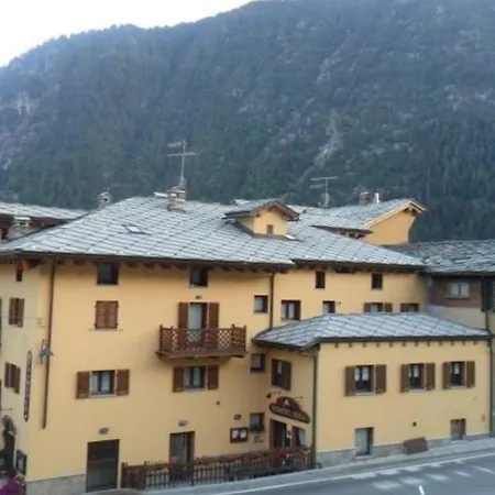 Aquila